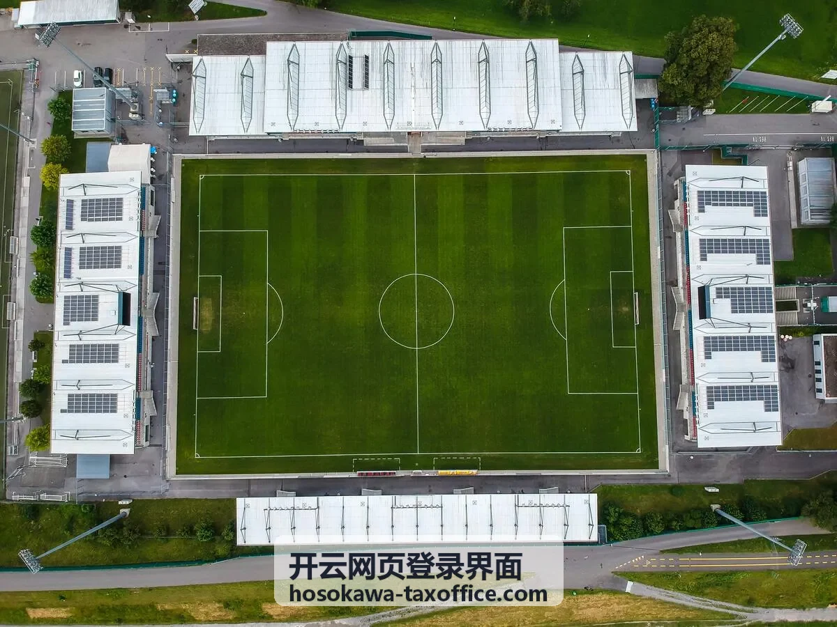 开云网页登录界面账号权限分配与变更说明
