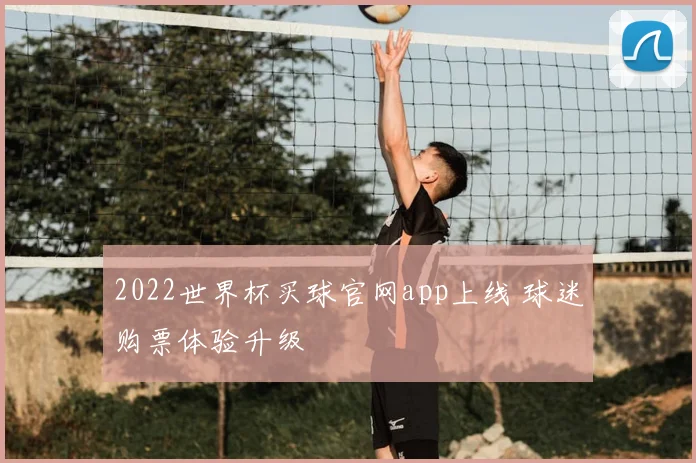 2022世界杯买球官网app上线 球迷购票体验升级