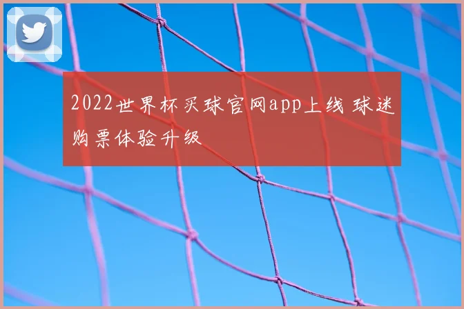 2022世界杯买球官网app上线 球迷购票体验升级